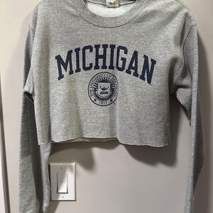 Gray Michigan Cropped Sweatshirt trendy thick quality